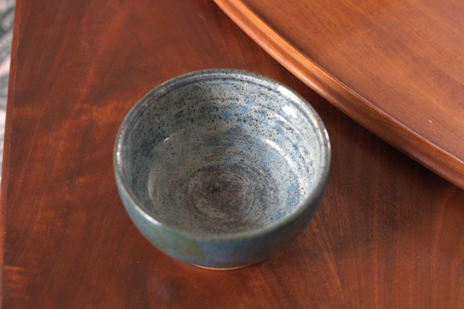 Speckled Teal — photo 4 of 4